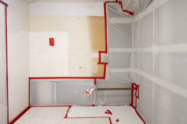 Best Mold Damage Restoration  in Seaford, NY