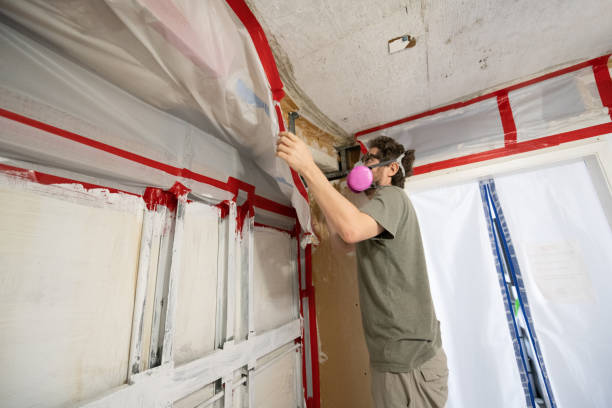 Best Commercial Mold Inspection  in Seaford, NY