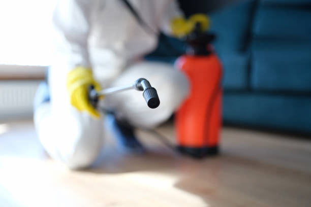 Best Mold Remediation for Rental Properties  in Seaford, NY