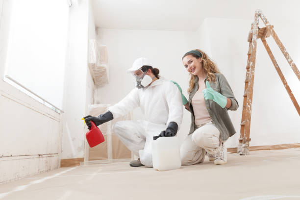 Best Environmental Consulting for Mold Prevention  in Seaford, NY
